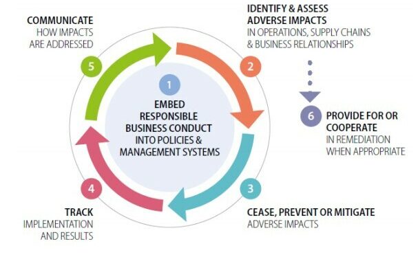 OECD 6 steps